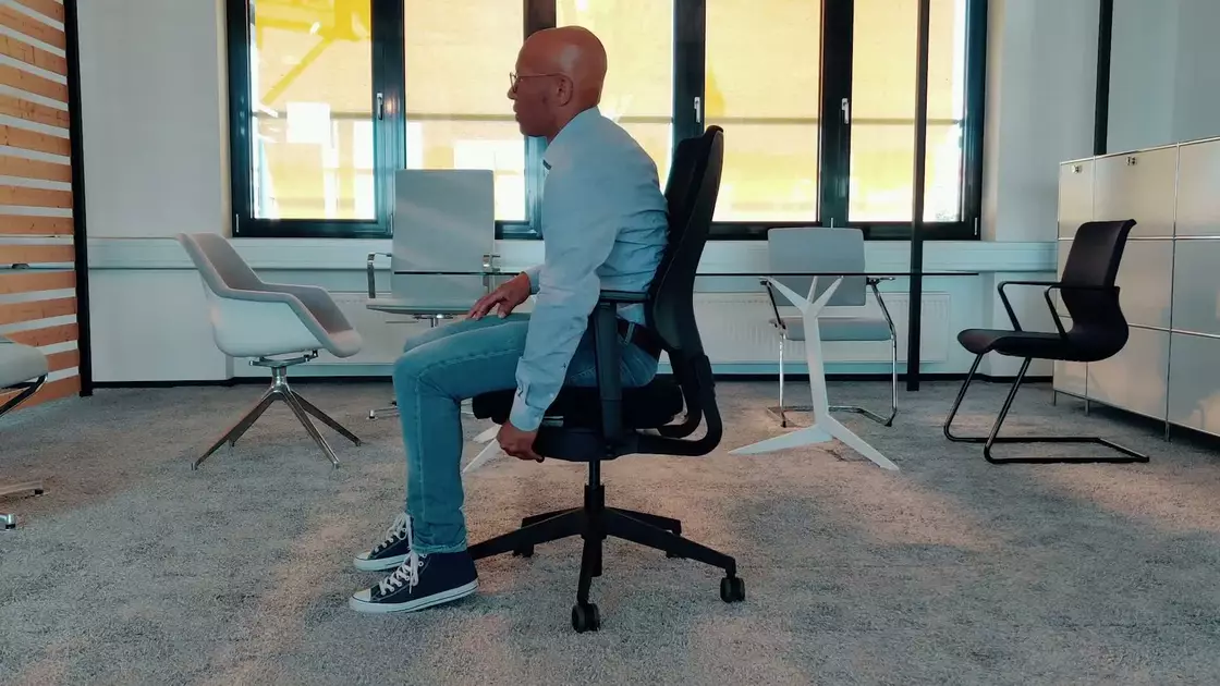 Bunny video preview image